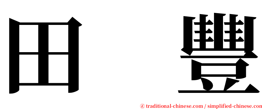 田　豐 serif font